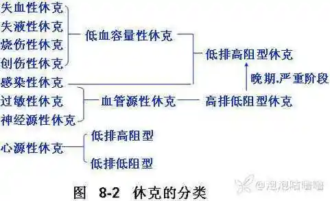 休克相关病理生理知识