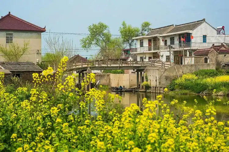 五十年后故乡行