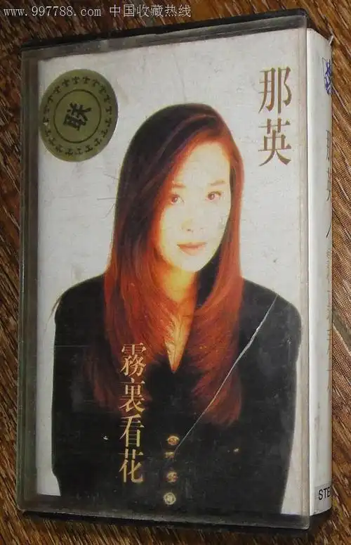 那英—雾里看花.少见版本!