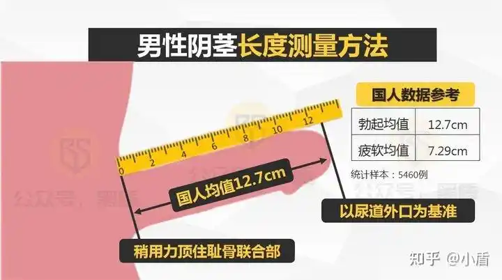 18岁阴茎13厘米正常