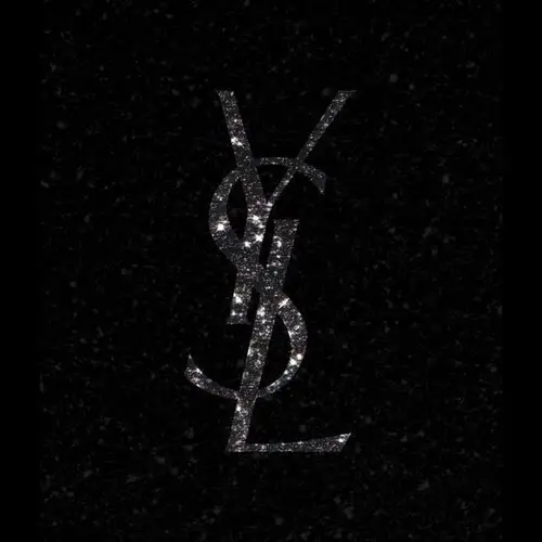 ysl beauty official (@yslbeauty)s instagram profile | tofo.