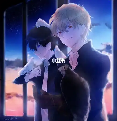 白黑cp也不错哟～#名侦探柯南#怪盗基德#白马探#黑羽快斗