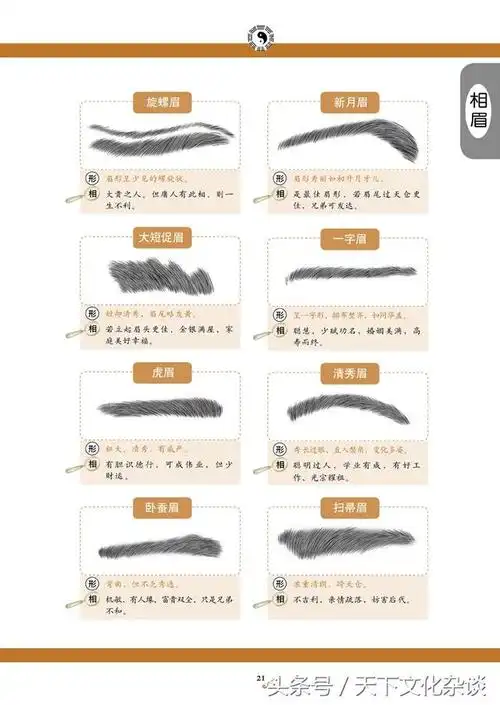 《麻衣神相》之面相速查表——图文并茂,通俗易懂!