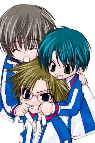 网球王子之不二菊丸与手冢q版同人图