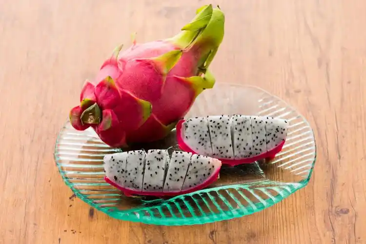 火龙果 ドラゴンフルーツ / dragon fruit