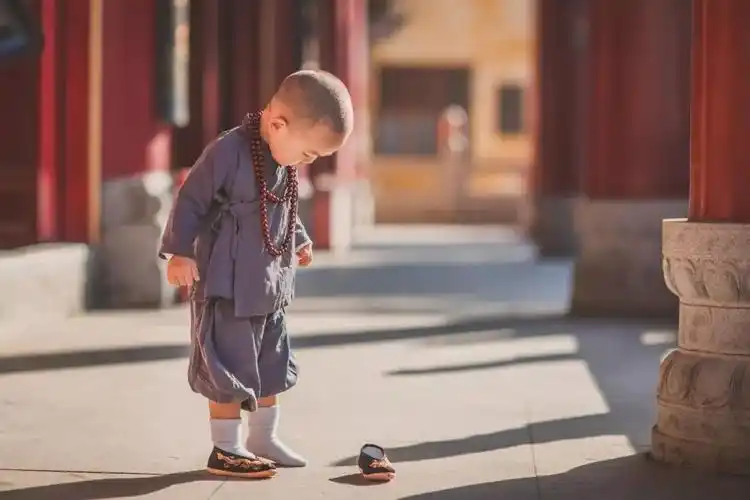 定制|小和尚一休哥