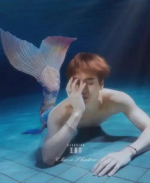 王嘉尔是美男鱼吧