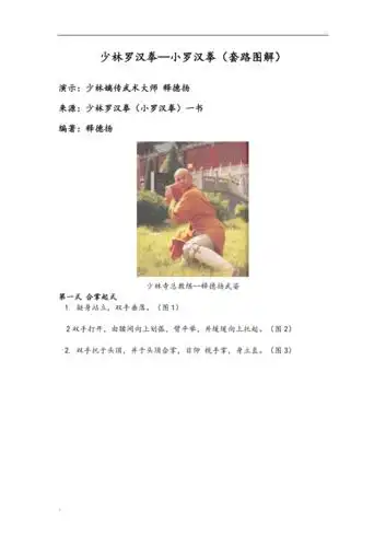 少林罗汉拳—小罗汉拳(套路图解)