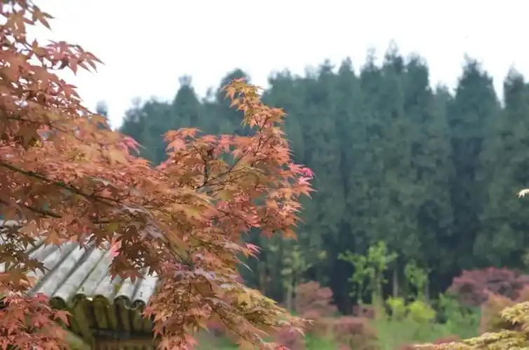 壁纸 风景 960_637