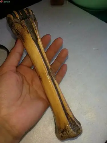 清代老骨头一根