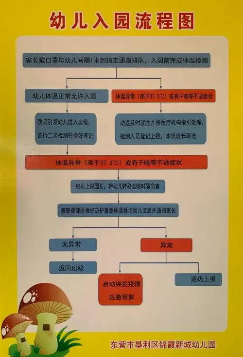 幼儿入园流程图