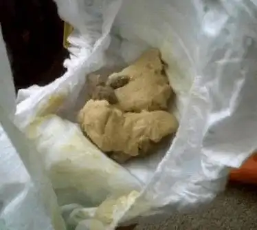 但是,诺诺解得"便便"却越来越白,严重时像白色陶土一样,并且他出生后