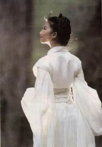 刘诗诗刘亦菲高圆圆朱茵王祖贤 盘点荧幕中绝色侠女