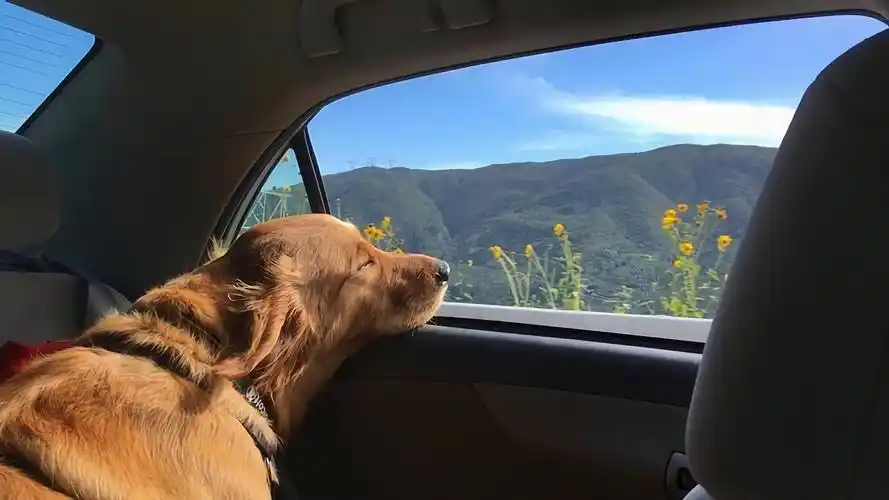 2020年6月10日 18:58   关注  壁纸 评论 收藏