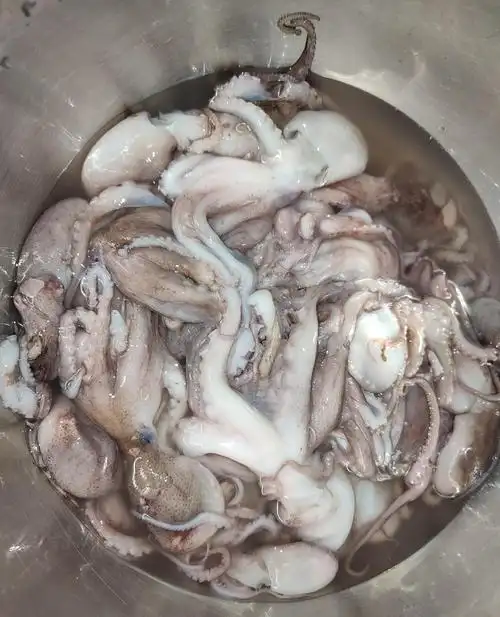 八爪鱼的做法清蒸