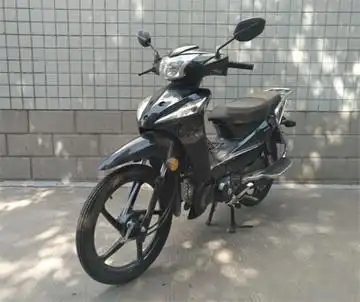 重庆牌cq1102d两轮摩托车