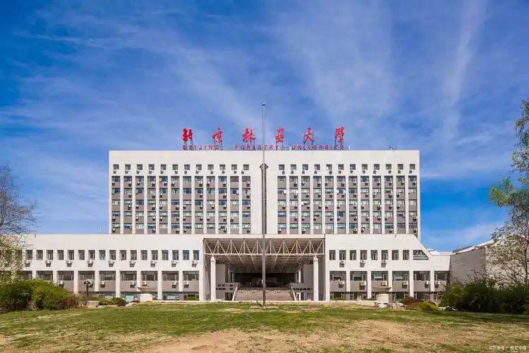 01根据院校选择医学生考研院校分为:985院校,211院校,军医大学和医科