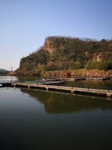 南闸醉美狮山湖金秋菊花展,(20201110)