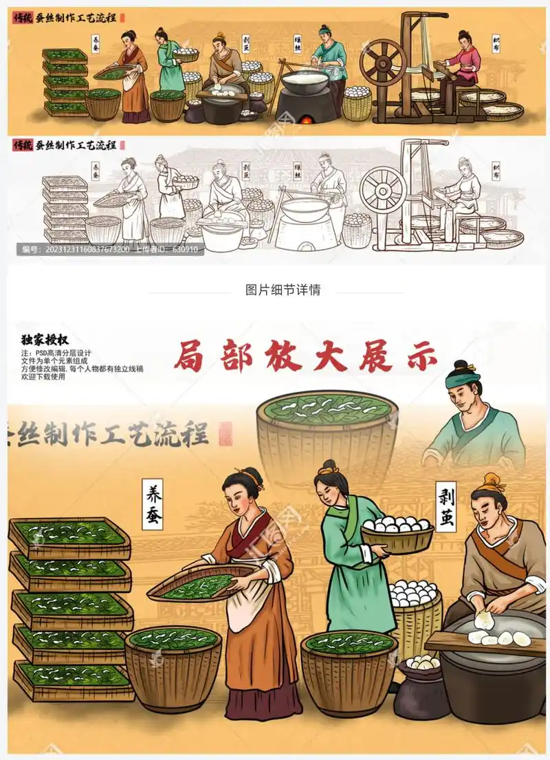 蚕丝制作流程插画.蚕丝制作流程#包装设计 #蚕丝被 #蚕丝包