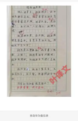 新农小学三年级作文情况汇报