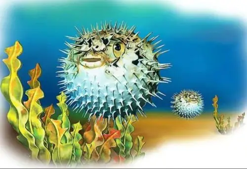 爱辰艺术教育——《可爱的刺豚》