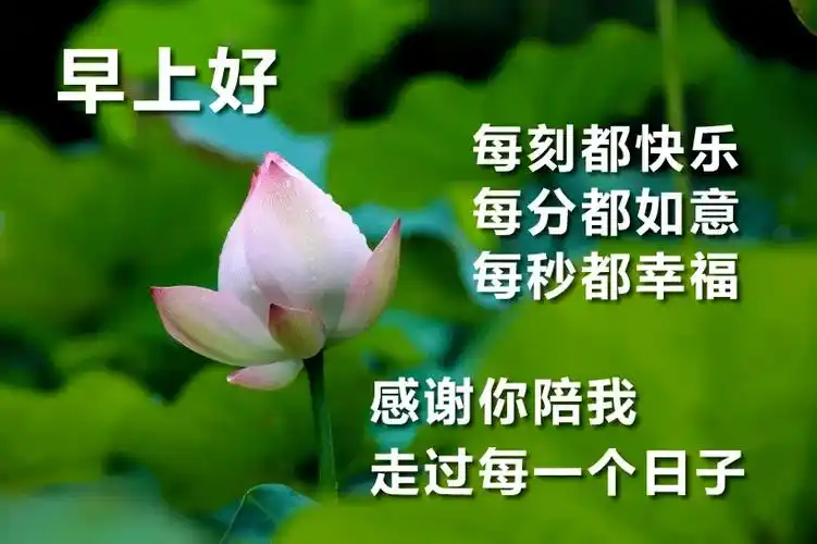 微信群发夏天送清凉早安问候祝福早上好动态图片 最漂亮的早上好图片