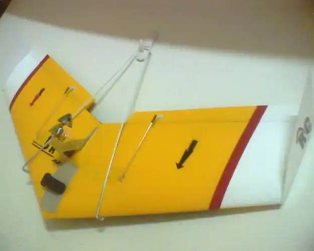 新背负式动力三角翼