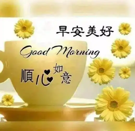 11月11日微信早上好问候祝福语,清晨漂亮的冬天早安问候表情图片带字
