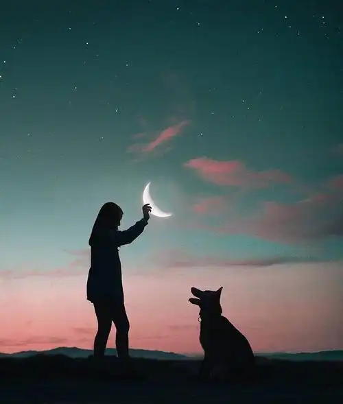 精辟到毒死人的爱情语录字字珠玑超犀利超现实