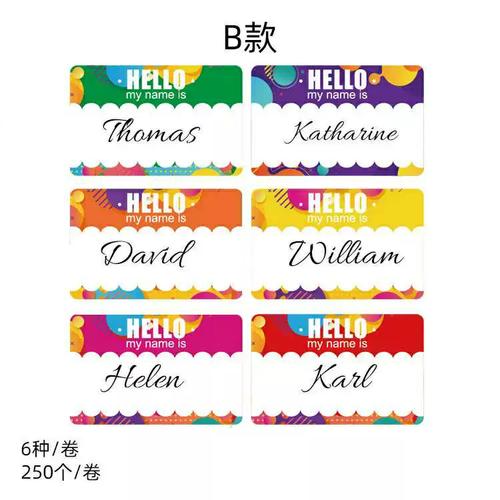 name tag名称贴纸标签 卡通姓名标签 彩色标签贴纸 姓名标签贴纸