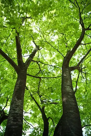 非常喜欢司马懿这一段话:"受人之辱,不动于色.察人之过,不扬于人.