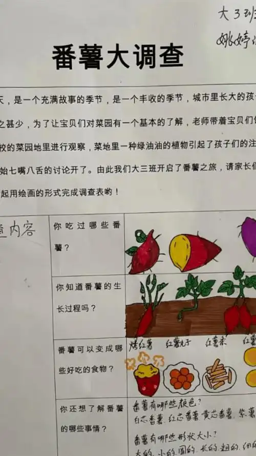 【张家港园】微课程故事:番薯乐_幼儿