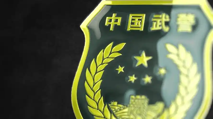 武警徽标_1920x1080_高清视频素材下载(编号:1170664)_影视包装_光厂