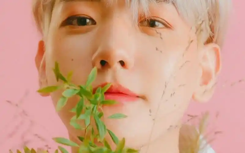 边伯贤baekhyunjapan1stminialbum日专预告合集