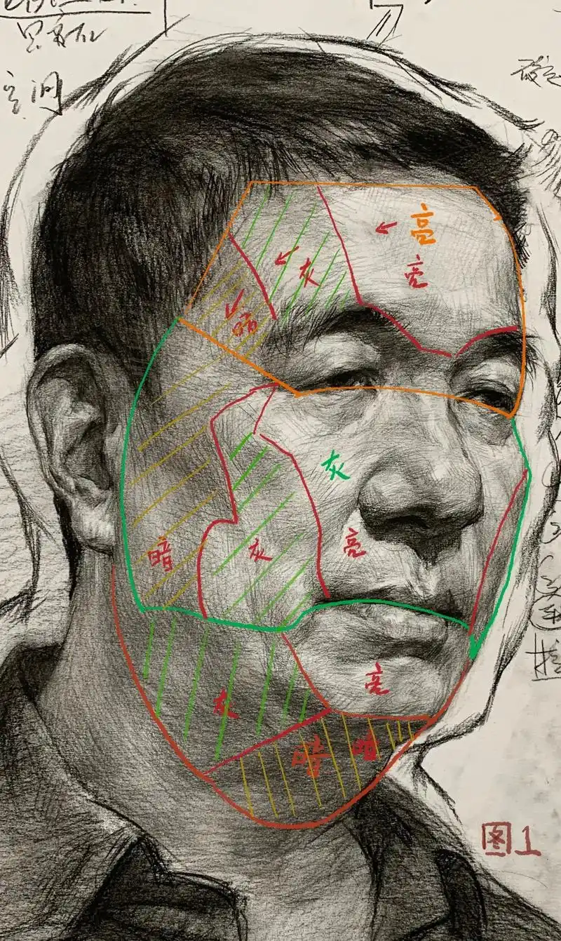 素描头像|脸部黑白灰色块归纳