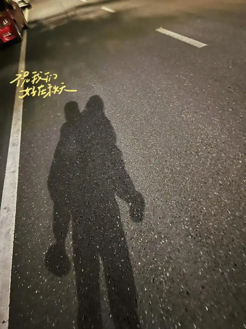 晚饭后去散步他说我背背你吧于是就有了路灯下影子的照片