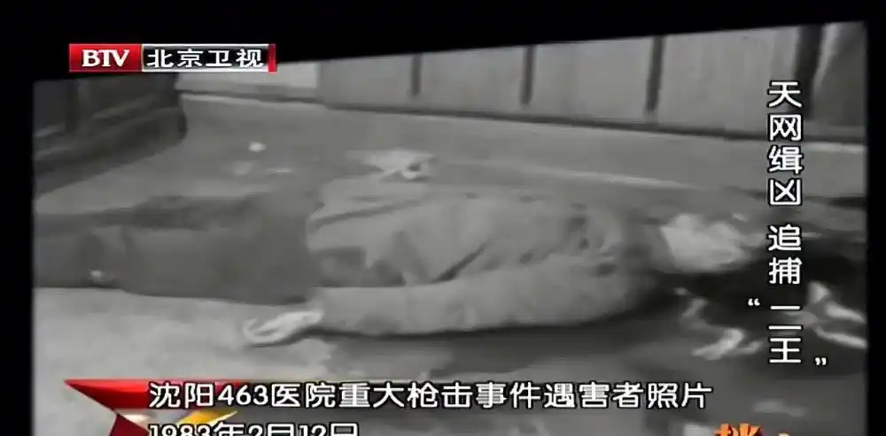 东北"二王"悍匪往事,流窜6省7个月,3万人围剿终将其击毙