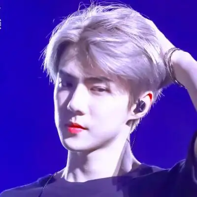 吴世勋自调头像 二传注明栀言,并告诉我一声