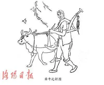 13917 有了这些牛耕地再也老黄牛的简笔画牛牛会耕田的简笔画