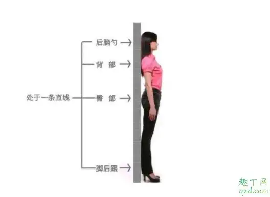 饭后贴墙站能不能减肥饭后靠墙站的正确方法