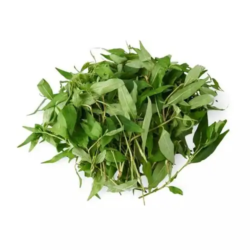 叻沙叶 产自越南,也叫越南香菜.在越南料理里常会