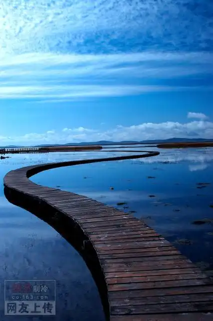 摄影作品欣赏[组图]