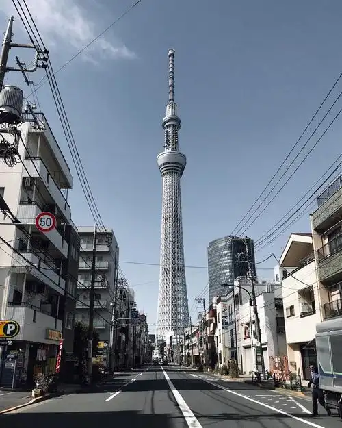 京都-东京-富士by phone