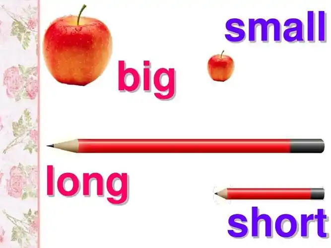 small big long short