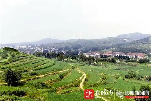 经过美化,绿化,亮化提升改造的临沭街道山里村成为省级美丽乡村