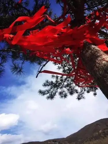 每个来到五台山的人都有着无量的佛缘