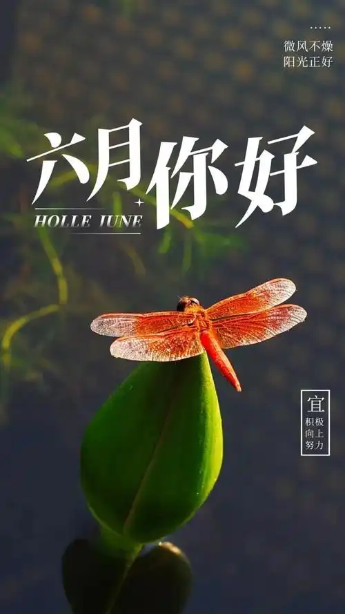 6月你好图片配图高清唯美简单带字六月朋友圈抖音文案短句语录