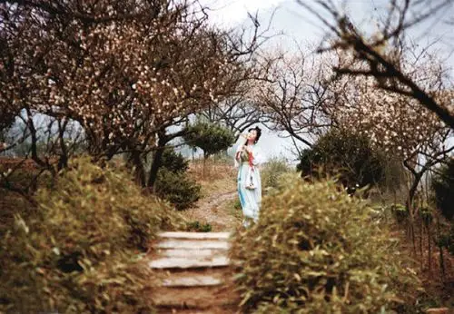 87版电视剧《红楼梦》剧照,黛玉葬花.