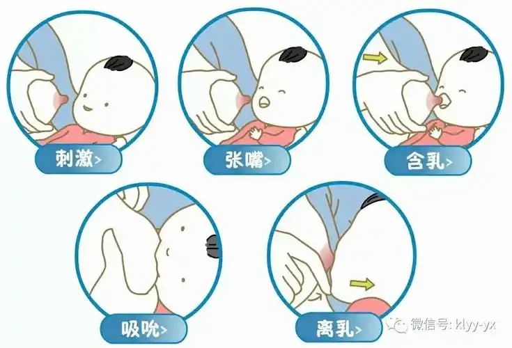 其它 王晓芬的美篇 写美篇按需哺乳指的是只要宝宝饿了,新妈妈就随时