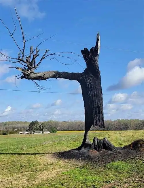 幻觉图片 错觉 搞笑,13个能让你怀疑眼睛的视错觉图,你敢挑战自己的